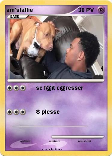 Pokemon am'staffie