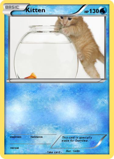 Pokemon Kitten