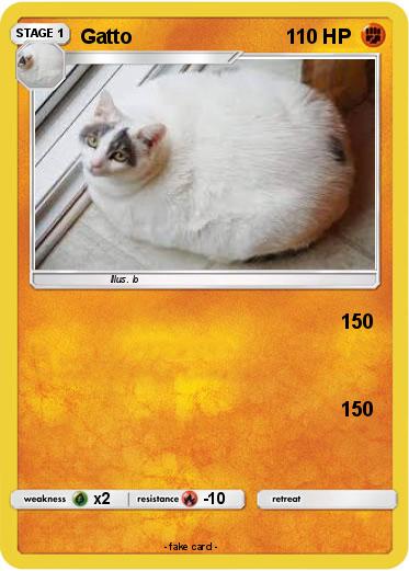 Pokemon Gatto