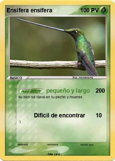 Pokemon Ensifera ensifera