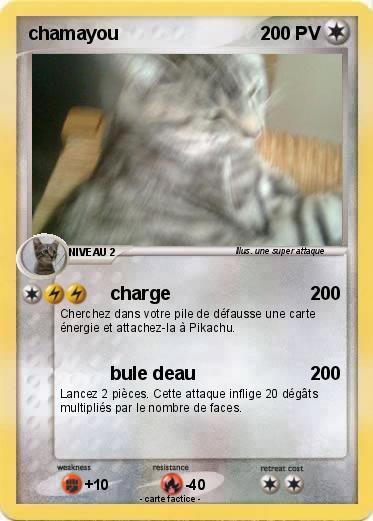 Pokemon chamayou