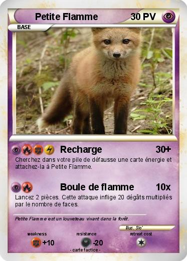 Pokemon Petite Flamme