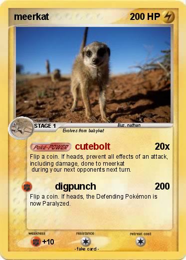 Pokemon meerkat