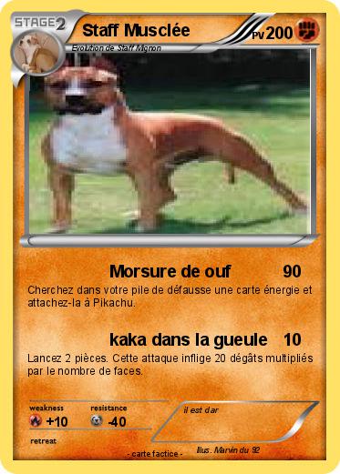 Pokemon Staff Musclée