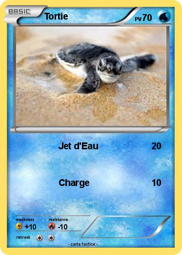 Pokemon Tortie