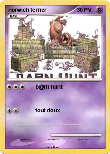 Pokemon norwich terrier