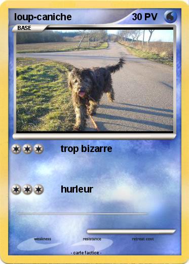 Pokemon loup-caniche