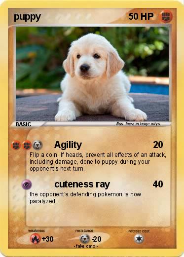 Pokemon puppy