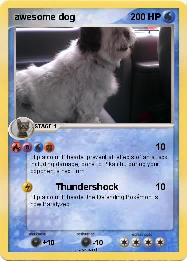 Pokemon awesome dog