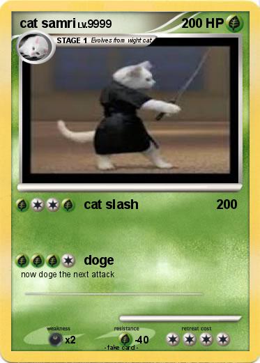Pokemon cat samri