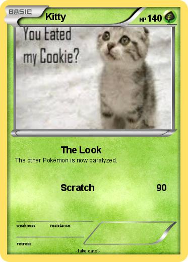 Pokemon Kitty