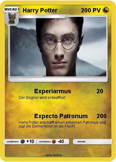 Pokemon Harry Potter