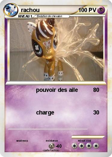 Pokemon rachou