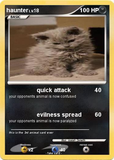 Pokemon haunter