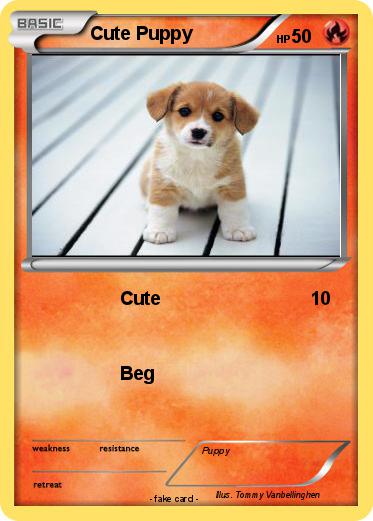 Pokemon Cute Puppy