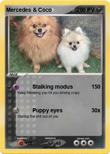 Pokemon Mercedes & Coco