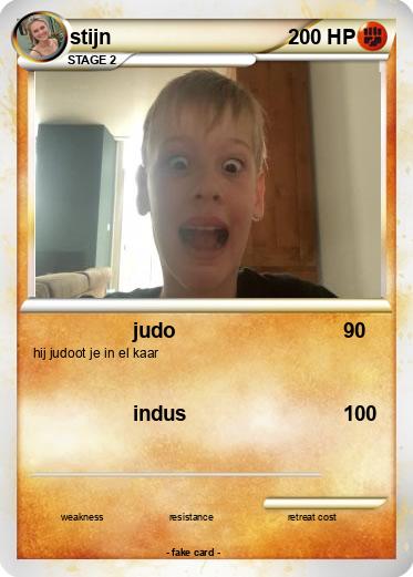 Pokemon stijn