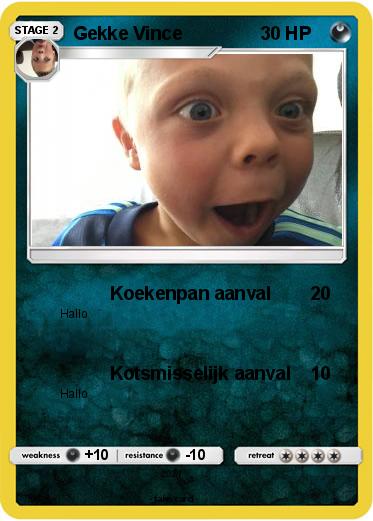 Pokemon Gekke Vince