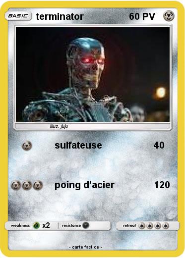 Pokemon terminator