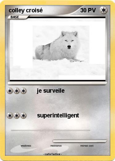 Pokemon colley croisé