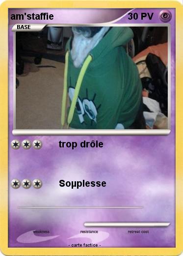 Pokemon am'staffie