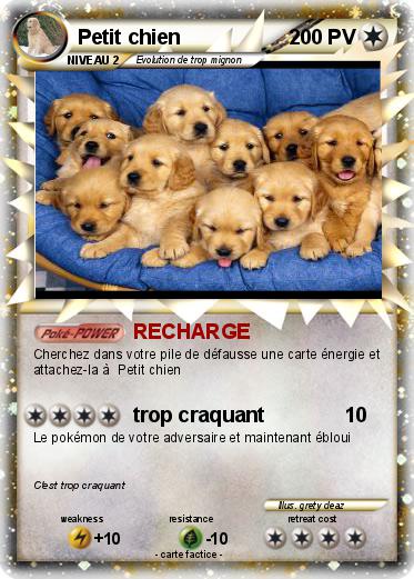 Pokemon Petit chien