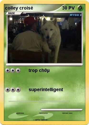 Pokemon colley croisé