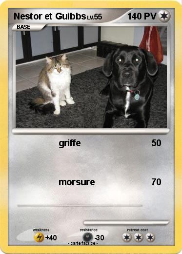 Pokemon Nestor et Guibbs