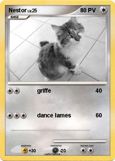 Pokemon Nestor