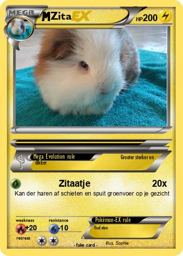 Pokemon Zita