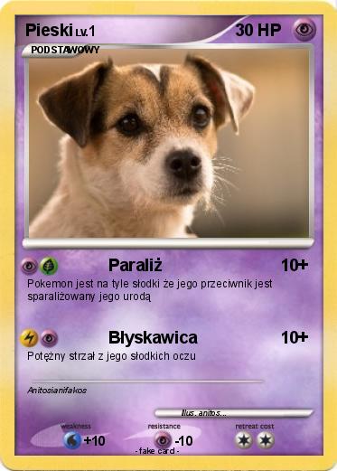 Pokemon Pieski