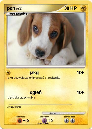Pokemon pon