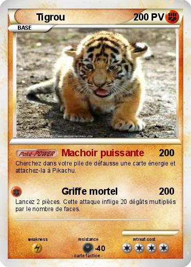 Pokemon Tigrou