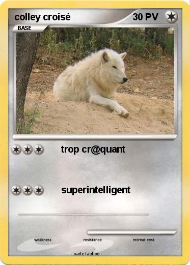 Pokemon colley croisé