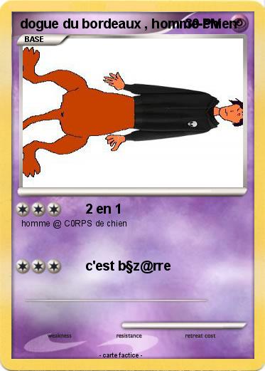 Pokemon dogue du bordeaux , homme-chien