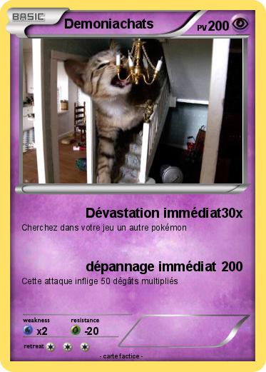 Pokemon Demoniachats
