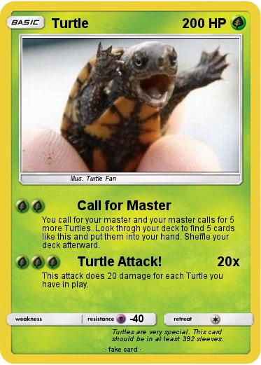 Pokemon Turtle