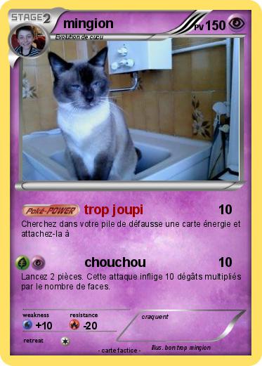 Pokemon mingion