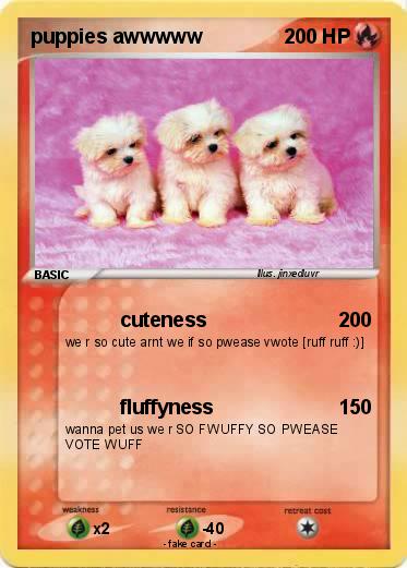Pokemon puppies awwwww