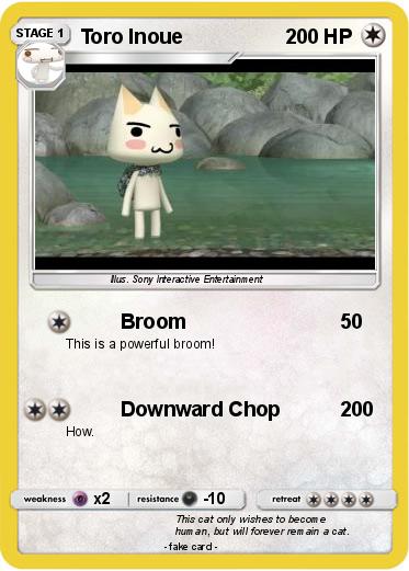 Pokemon Toro Inoue