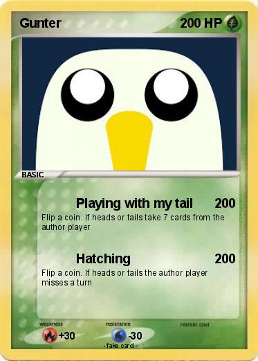 Pokemon Gunter