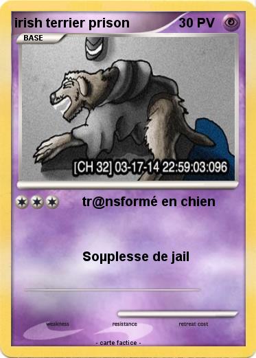 Pokemon irish terrier prison