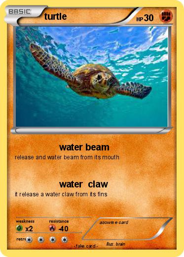 Pokemon turtle