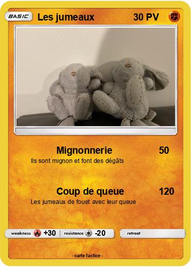 Pokemon Les jumeaux