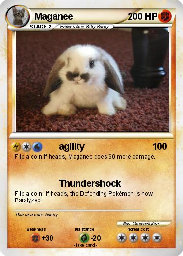 Pokemon Maganee