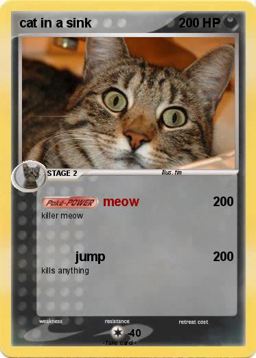 Pokemon cat in a sink