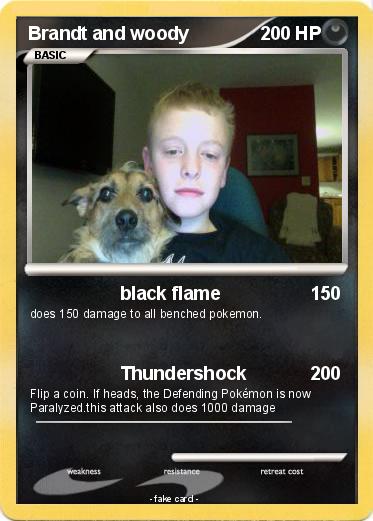 Pokemon Brandt and woody