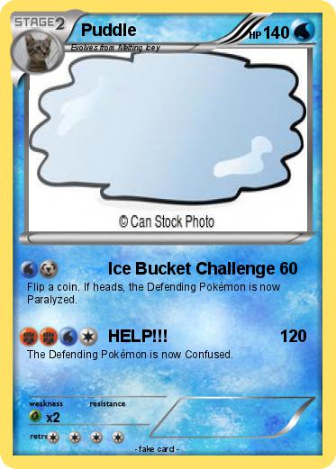 Pokemon Puddle