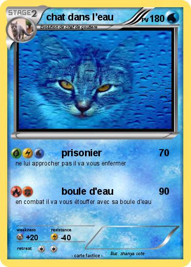 Pokemon chat dans l'eau