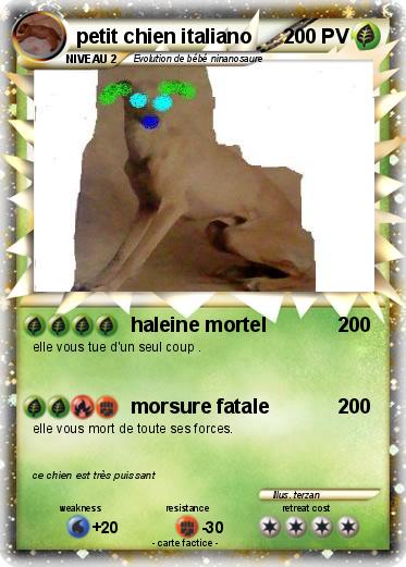 Pokemon petit chien italiano